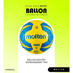 BALLON MOLTEN ENTRAINEMENT T00
