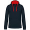 Boutique - Sweat à capuche coton pour homme