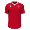 Boutique Soissons - Maillot de match ELVES
