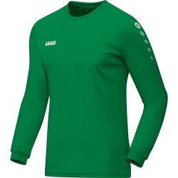 MAILLOT TEAM ML HOMME